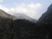 Trail Chhomrong to Nayapul