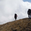 Trail Ghorepani to Tadapani