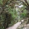 Trail Nayapul to Ghorepani