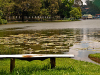 Kodaikkanal Same Day Tour