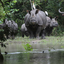 Gogoi Tours and Travels Gogoi Tours and Travels