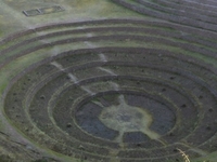 Moray Moray