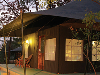 Camping @ Pench with Pench Jungle Camp Camping @ Pench with Pench Jungle Camp