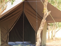 Camping in Wilpattu National Park