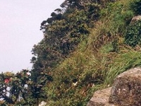 4804758 Worlds End Horton Plains 4804758 Worlds End Horton Plains