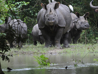 North East India Holiday Package North East India Holiday Package