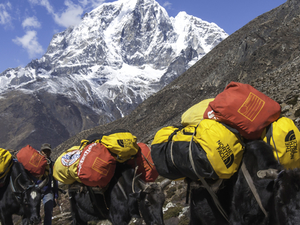 Island Peak Expedition Photos