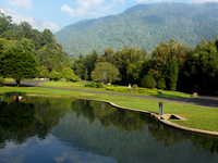 Kebun Raya Cibodas Kebun Raya Cibodas