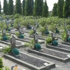 Giri Tunggal Heroes Cemetery Giri Tunggal Heroes Cemetery