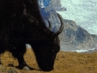 Langtang Area