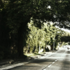 Balete Drive