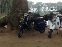 Discover Mekong Delta By Vespa