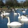 Round Pond Round Pond