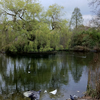 Sydenham Wells Park Sydenham Wells Park