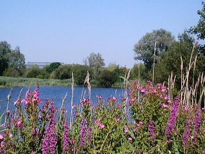 Bedfont Lakes Country Park, London, England Tourist Information