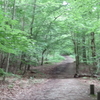 Harrow Weald Common