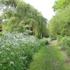 Raeburn Open Space