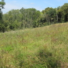 Saltbox Hill