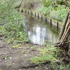Sir Joseph Hood Memorial Wood