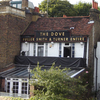 The Dove