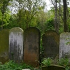 Tower Hamlets Cemetery Park Tower Hamlets Cemetery Park