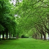 Wandsworth Park