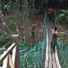 Ayer Keroh