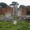 Basilica Aemilia