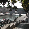 Lungotevere degli Anguillara