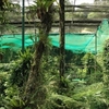 Kuala Lumpur Butterfly Park Kuala Lumpur Butterfly Park