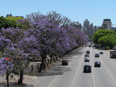 Avenida Figueroa Alcorta, Buenos Aires, Argentina Tourist Information