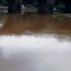 Mutha River Mutha River