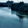 Pavana River Pavana River