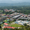 Tenom Tenom