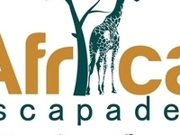 Logo Logo