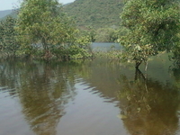Kambalakonda Wildlife Sanctuary Kambalakonda Wildlife Sanctuary