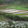 Tasikmalaya Tasikmalaya