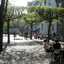 Spui Spui