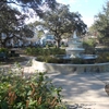 Allan Park Allan Park