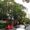 Ballygunge Circular Road Ballygunge Circular Road