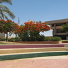 Ofakim
