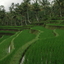 Tampaksiring Tampaksiring