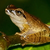 Mhadei Wildlife Sanctuary Mhadei Wildlife Sanctuary