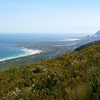 Betty's Bay