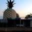Big Pineapple Big Pineapple