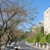 Nayot