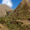 Warmi Wañusqa
