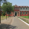 Gass Forest Museum