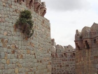 Mudgal