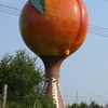Peachoid Peachoid